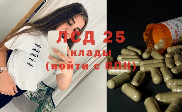 соль ск Алзамай