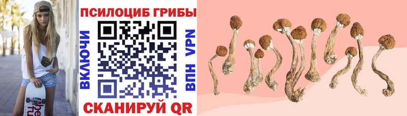 МЕГА зеркало  Сухой Лог  Галлюциногенные грибы прущие грибы 