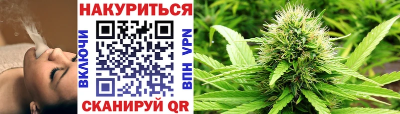 Марихуана сатива  ОМГ ОМГ зеркало  Сухой Лог 